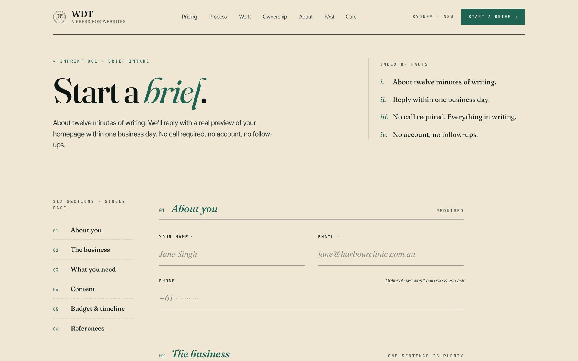 The six-section brief form — about you, the business, what you need — beside an index of what the process promises.