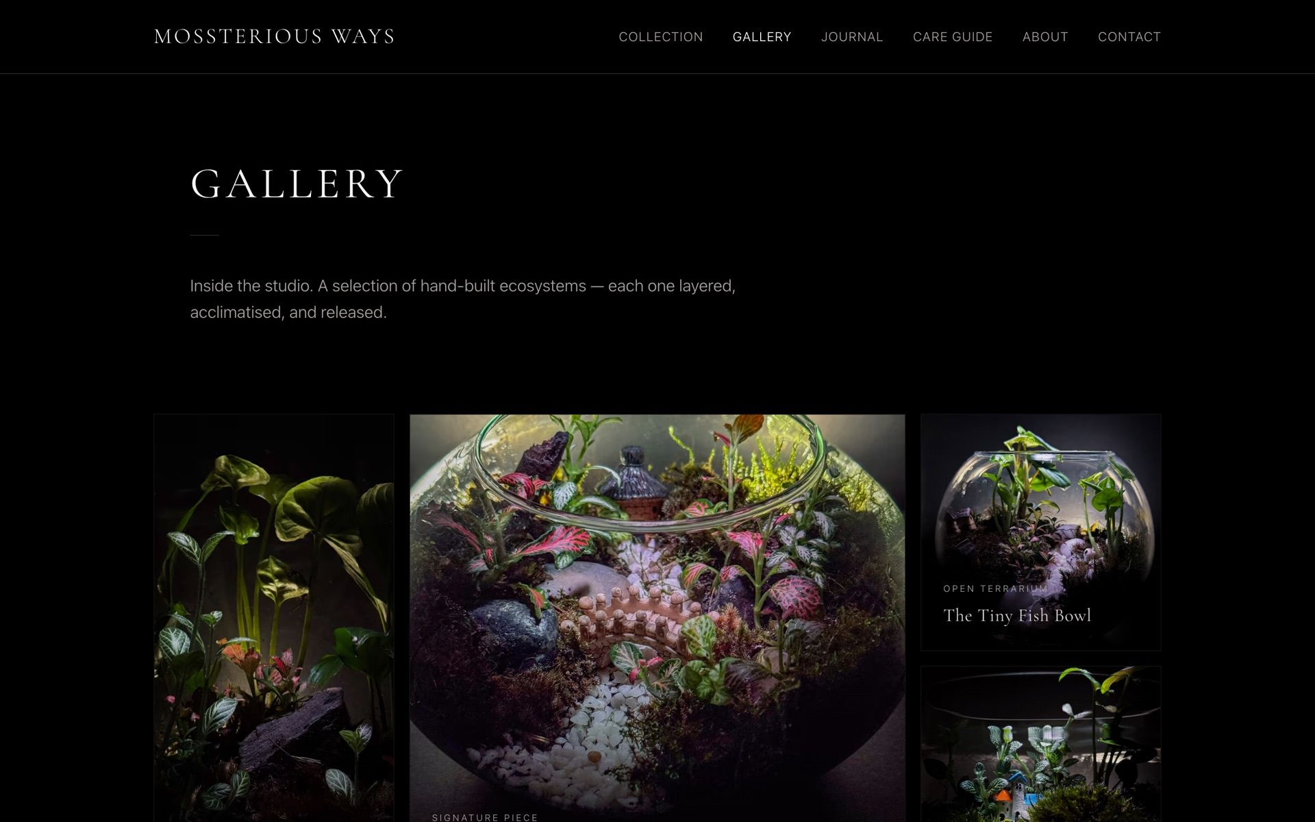 A gallery grid of hand-built terrariums photographed against dark backgrounds.